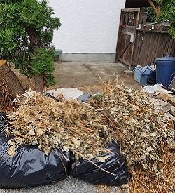 Yard Waste Removal>
	    </div>
	    </div>
	    <a class=